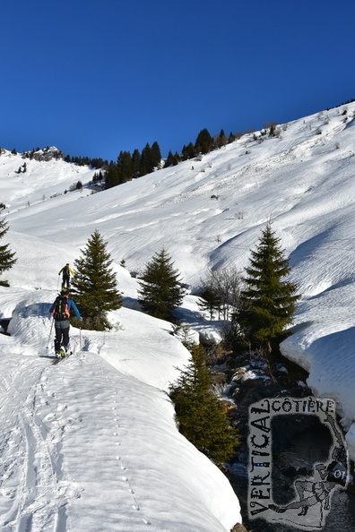 DSC_5284.JPG