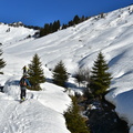DSC 5284
