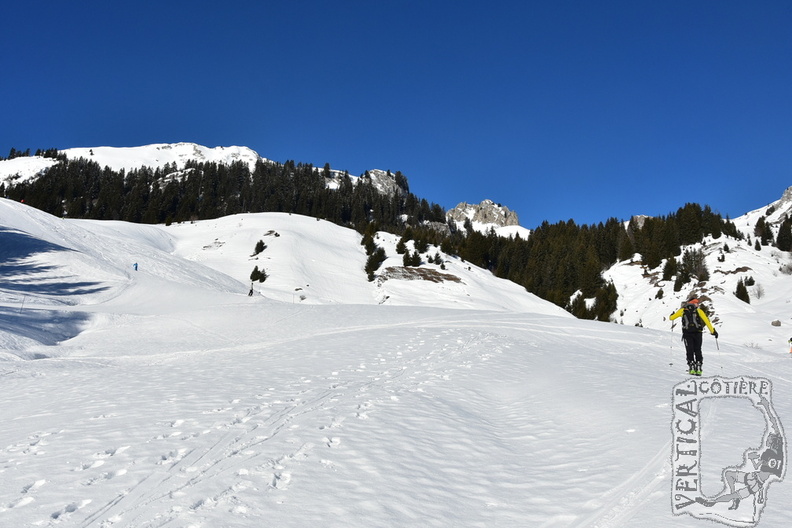 DSC_5288.JPG