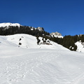 DSC 5288