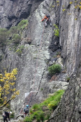 IMG 3648