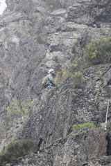 IMG 3692