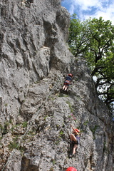 IMG 5842
