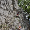 IMG 5842