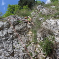 IMG 5848