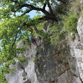 IMG 5865