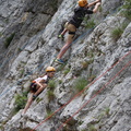 IMG 5868