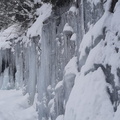 IMG-20240226-WA0001