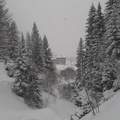 IMG-20240226-WA0000