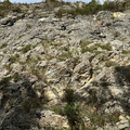 IMG-20240929-WA0027